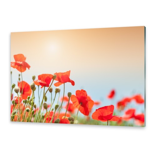 Acrylglasbilder wandbild aus - acrylglasbilder,