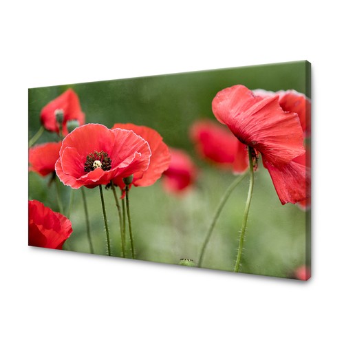 Canvas leinwandbilder - canvas,