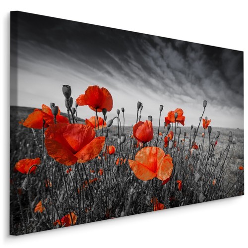 Canvas leinwand bilder - canvas,