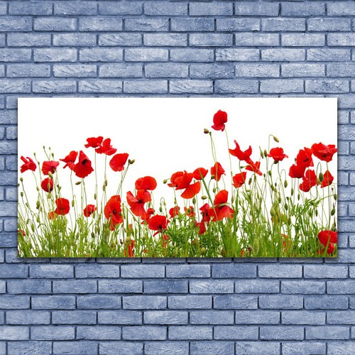 Leinwand bilder wandbild - leinwand-bilder,