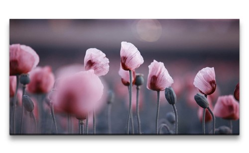 120x60cm leinwandbild - 120x60cm,