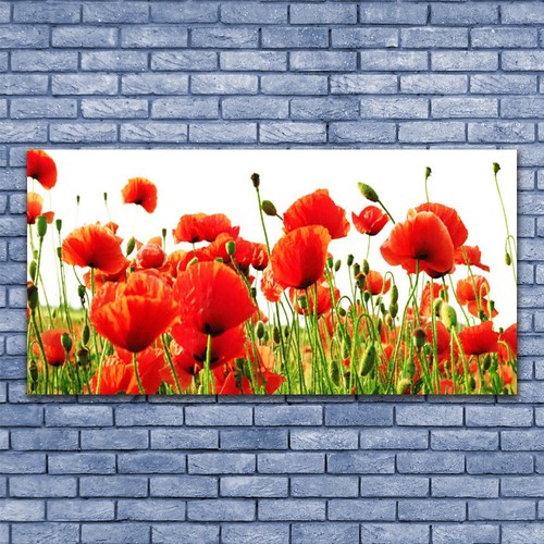Glasbilder wandbild druck - glasbilder,
