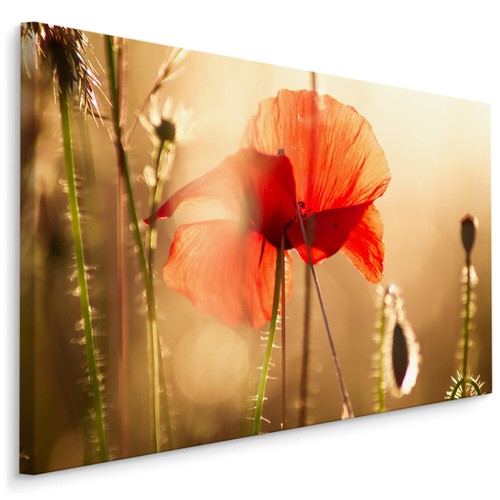 Canvas leinwand bilder xxl - leinwand,