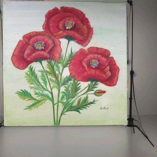 Bild mohnblumen 40x40cm auf - "mohnblumen",