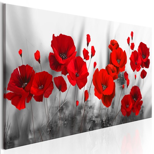 Natur mohnblumen vlies - natur,