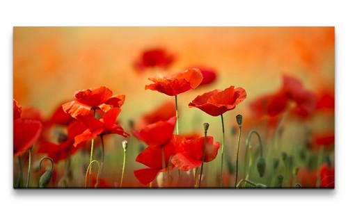 120x60cm leinwandbild - 120x60cm,