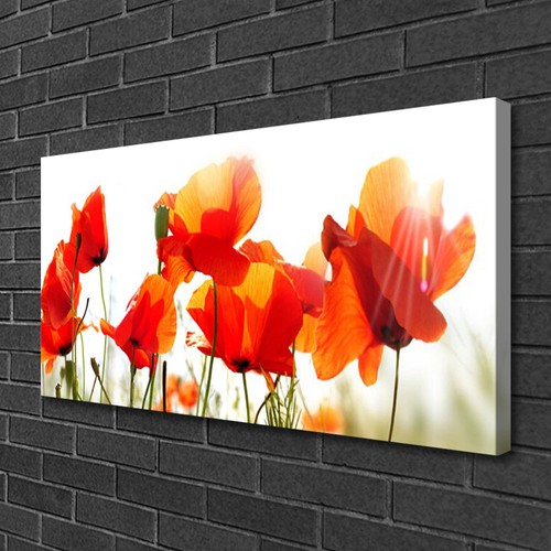 Leinwand bilder 100x50 - leinwand-bilder,