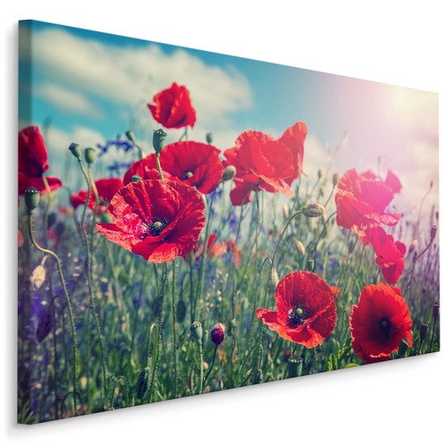 Canvas leinwand bilder xxl - canvas,