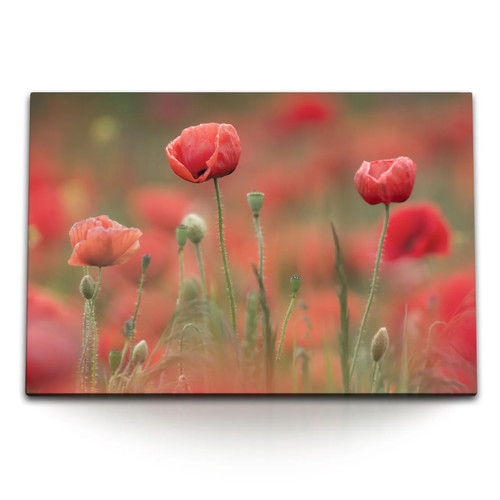 120x80cm wandbild auf leinwand - wandbild,
