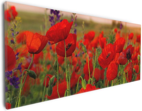 Wallario leinwandbild wandbild - leinwandbild,