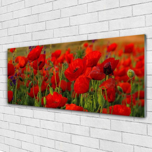 Glasbilder wandbild druck - glasbilder,
