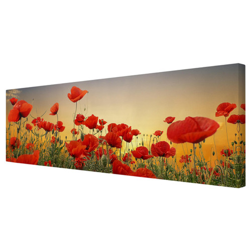 Leinwandbild mohnblumenfeld - leinwandbild,