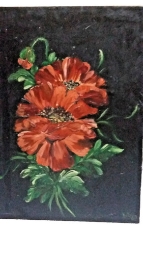 Bild mohnblumen von - bild,