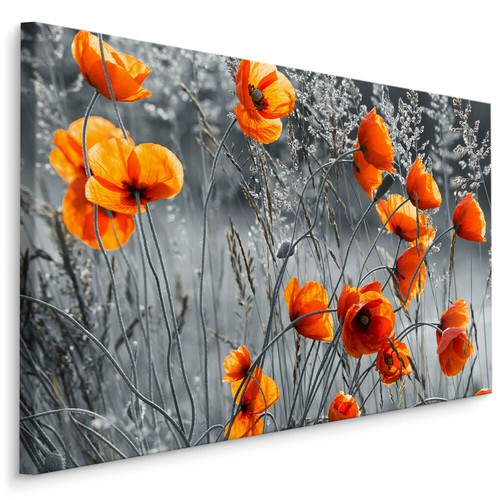 Canvas leinwand bilder - leinwand, xxl