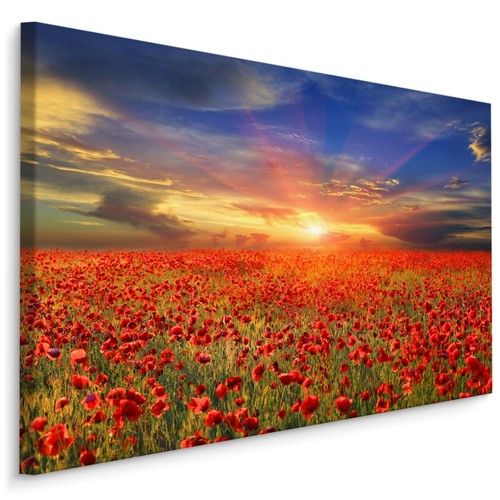 Canvas leinwand bilder - leinwand, xxl