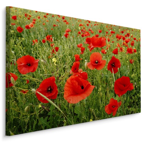 Canvas leinwand bilder xxl - canvas,