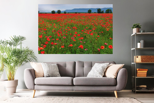 Wandbild landschaftsfoto - wandbild,