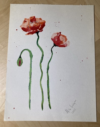 Die mohnblumen bild handgemalt - mohnblumen,