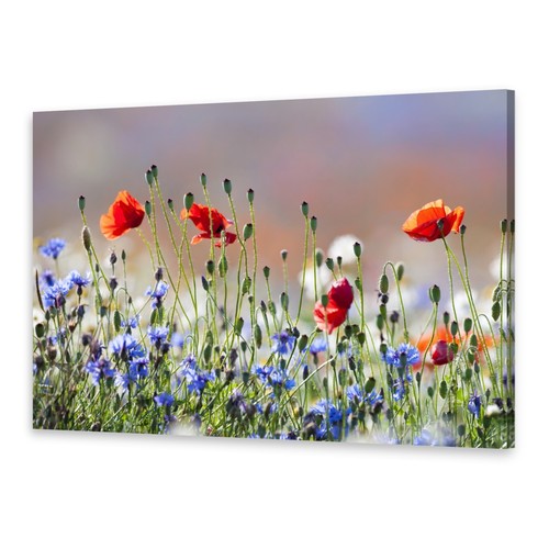 Leinwand bilder wandbild - wandbild, druck