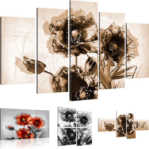 Bilder mohnblumen wandbild - mohnblumen,