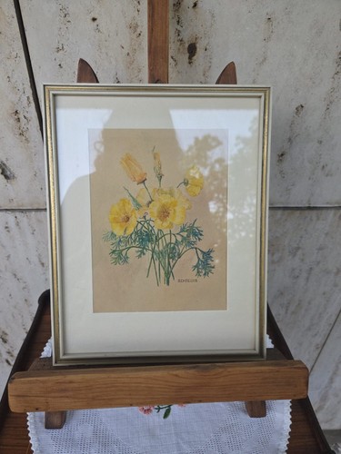 Botanisches aquarell schreurs - botanisches,