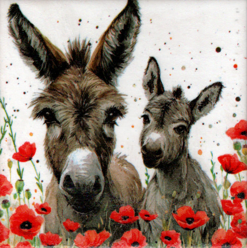 Dekobild esel mohnblumen - ,
