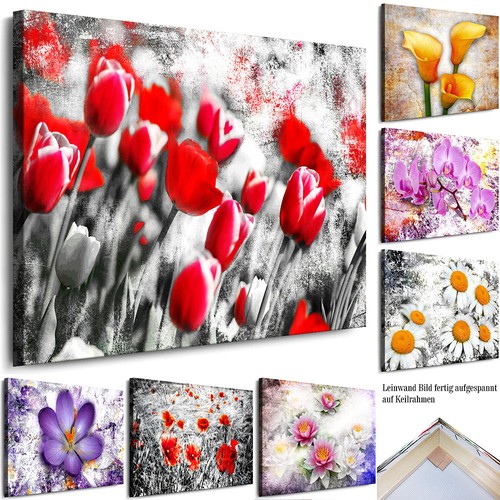 Wandbilder blumen xxl - wandbilder,