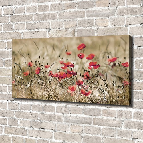 Leinwandbild kunst druck - leinwandbild, kunst-druck