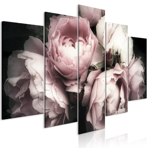 Blumen mohnblumen pflanzen - blumen,