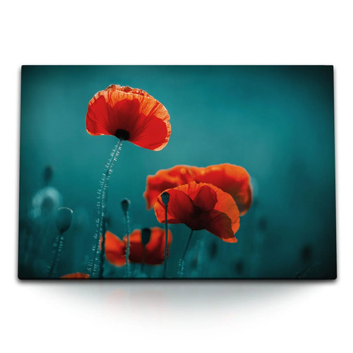 120x80cm wandbild auf - wandbild, leinwand