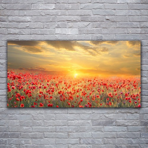 Leinwand bilder wandbild - leinwand-bilder,