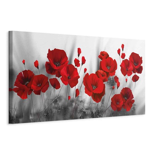 Blumen mohn wiese - rot, grau