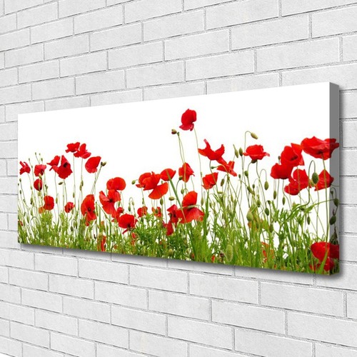Leinwand bilder wandbild - leinwand-bilder,