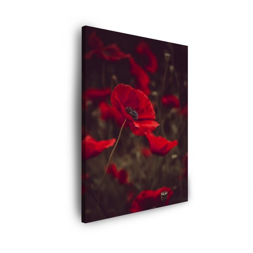 Leinwand bilder pflanzen - leinwand-bilder:,