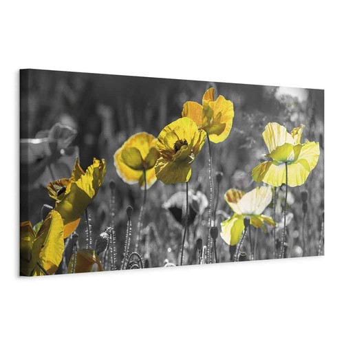 Artgeist wandbild groß - wandbild,