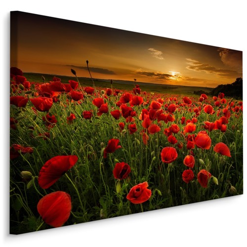 Canvas leinwand bilder xxl - canvas,