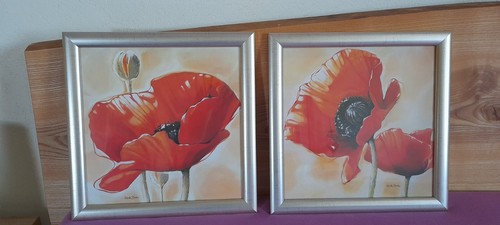 Bild mohnblumen motiv - x,