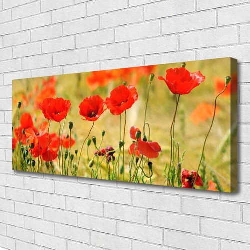 Leinwand bilder wandbild - leinwand-bilder,