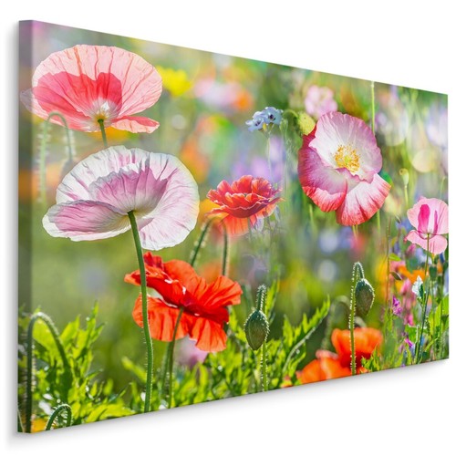 Canvas leinwand bilder - bilder, xxl