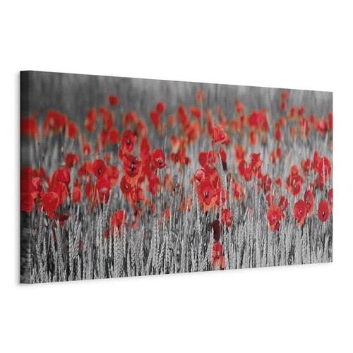 Artgeist mohnblumen groß - mohnblumen,